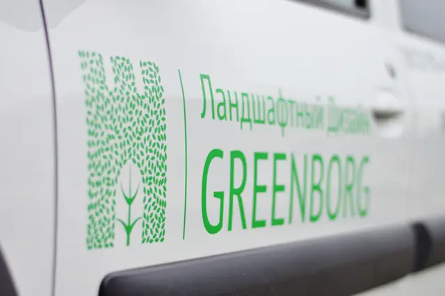 Автовинил Greenborg боковая дверь