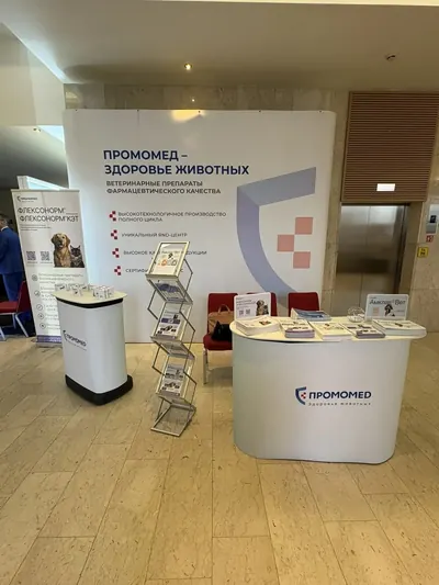 Выставочный стенд: прямой pop-up, промостойка и буклетница