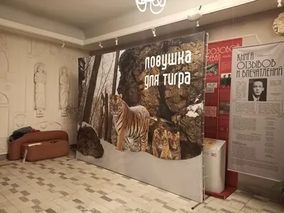 Пресс-волл с фотопечатью тигров в выставочном зале