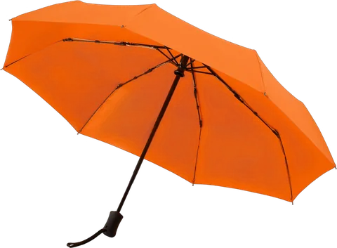Зонт складной Monsoon